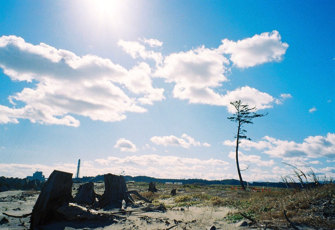 When Time Moves Forward — Fifteen Years After March 11 in Fukushima