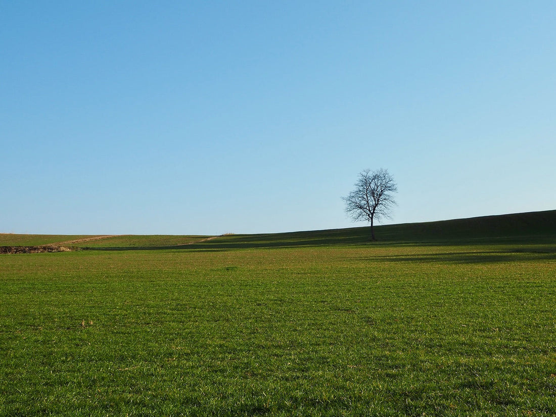 When Time Started Moving Again in Odaka